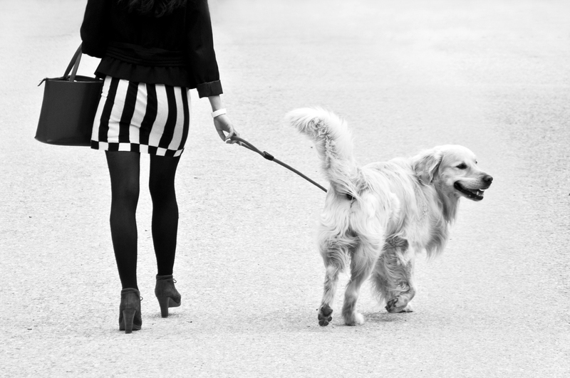 Parc Monceau Tirage 30X45 série limitée à 10 exemplaires : 350 euros